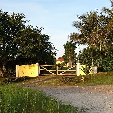 Casa Del Caballo Blanco San Ignacio Exterior foto