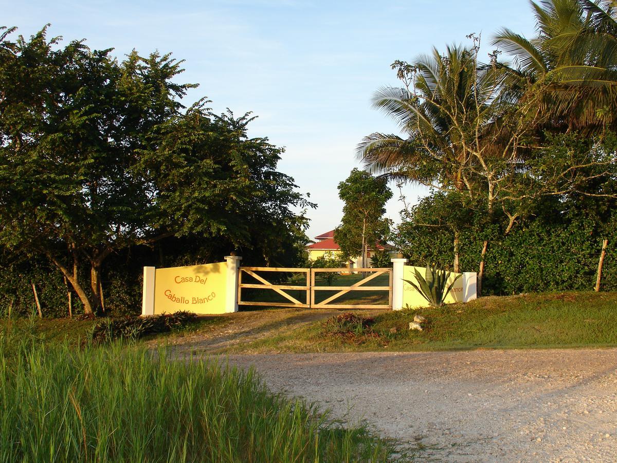 Casa Del Caballo Blanco San Ignacio Exterior foto